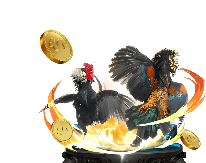 Hoàn trả cược Đá Gà hàng tuần